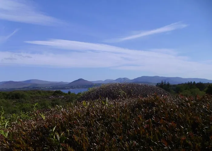 Дом отдыха Hillside Haven